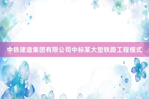 中铁建造集团有限公司中标某大型铁路工程模式