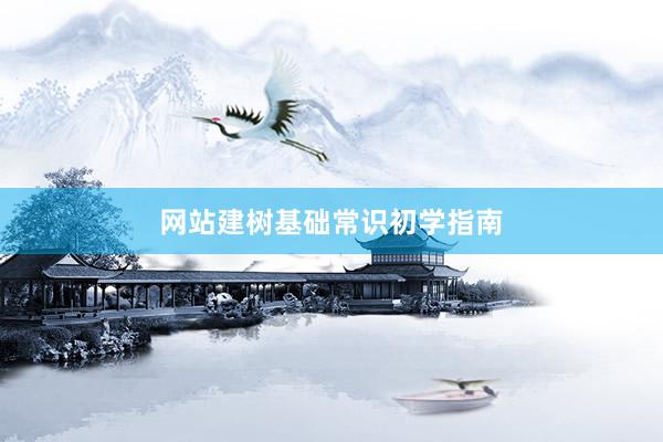 网站建树基础常识初学指南