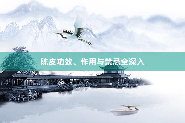 陈皮功效、作用与禁忌全深入